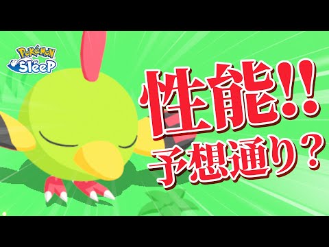 【ポケモンスリープ】初ネイティ！！予想通りの性能…！？