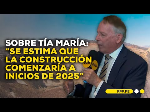 Sobre Tía María: Southern estima que construcción comenzaría a inicios de 2025