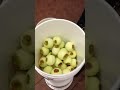 So this is how my dad peels apples [ORIGINAL VIDEO]