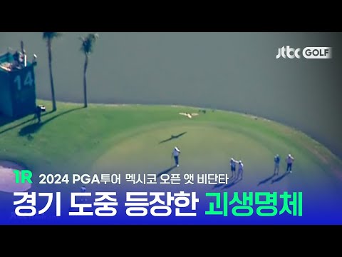 [PGA투어] 경기에 방해가 될 수도 있었던 상황 괴생명체의 정체는? 1R 하이라이트ㅣ멕시코 오픈 앳 비단타