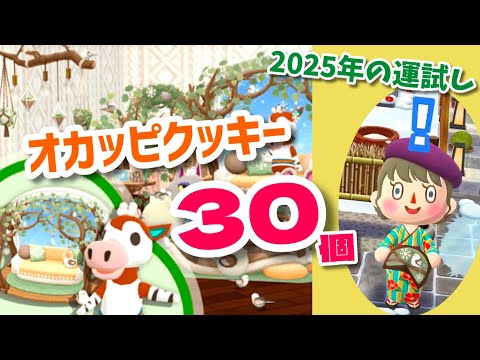 【ポケ森】新年一発目！今年の運勢を占うオカッピクッキー30個食べます！【コンプリート】