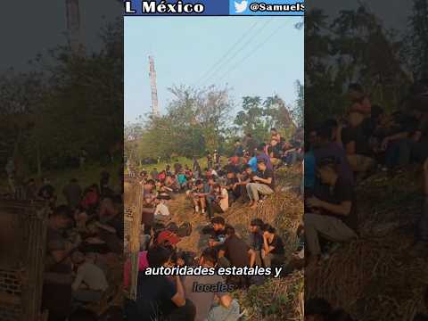 Migrantes En México: INM auxilia a 400 MIGRANTES ABANDONADOS en tres autobuses en Veracruz