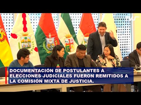 DOCUMENTACIÓN DE POSTULANTES A ELECCIONES JUDICIALES FUERON REMITIDOS