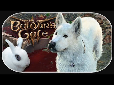 BALDUR'S GATE 3 🐇 14 - Game of the Century! 20/10 /w @GamepadRanger & Chucky
