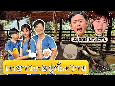 ออมม่ากับโรฮาไปเที่ยวฟาร์มในไท