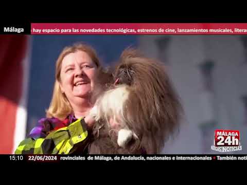 Noticia - Un pekinés llamado Wild Thang se corona como el perro más feo del mundo
