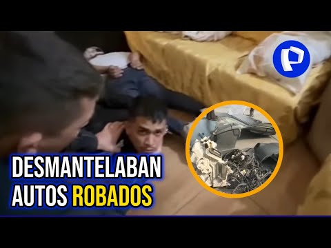 'Los finos de las Lomas': cae banda que robaba vehículos para desmantelarlos en SJL