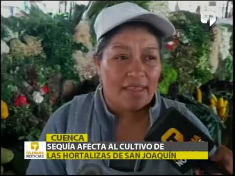 Sequía afecta al cultivo de las hortalizas de San Joaquín