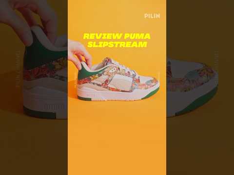 ReviewPUMASlipstream(PUMAx