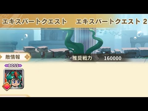 ワンコレ エキスパートクエスト2 守鱗プー
