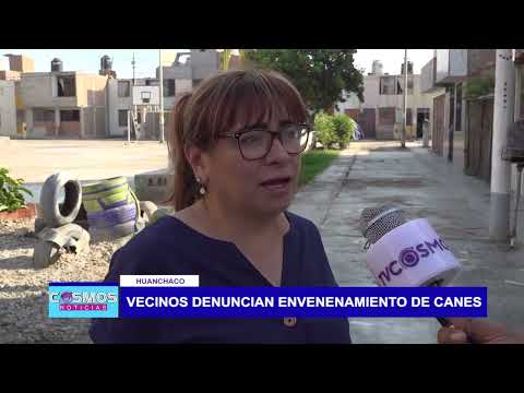 Huanchaco: Moradores denuncian envenenamiento de canes