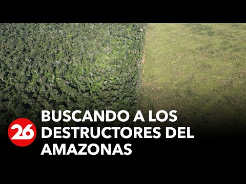?BUSCANDO A LOS DESTRUCTORES DEL AMAZONAS