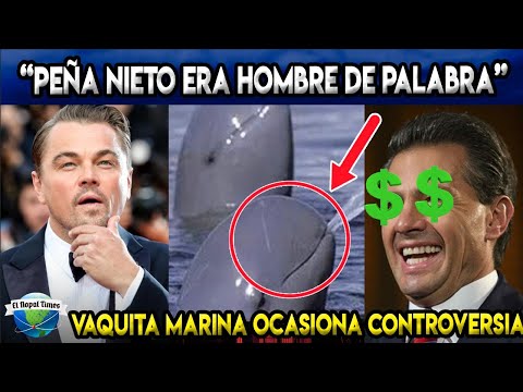 ¡El Colmo  Internacional! Leo DiCaprio despotrica vs AMLO por manejo Ambiental