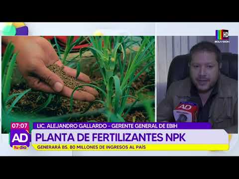 Planta de fertilizantes generará BS. 80 millones de ingresos para Bolivia