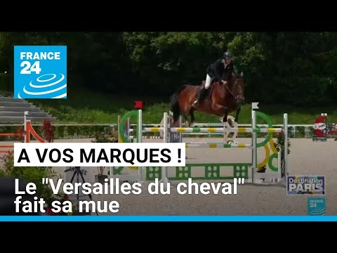 À vos marques : Au Haras national du Pin, le Versailles du cheval se modernise • FRANCE 24