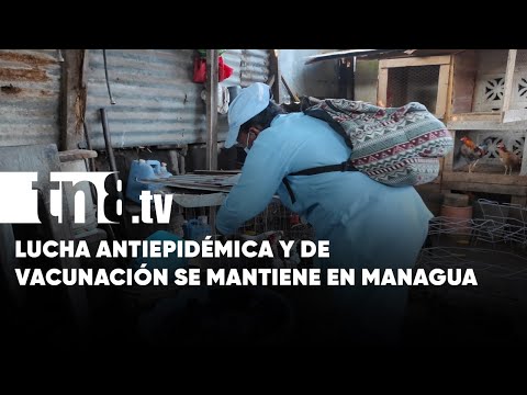 Garantizan derecho a la salud gratuita en Managua - Nicaragua
