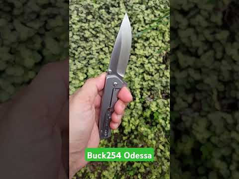 Buck254Odessa