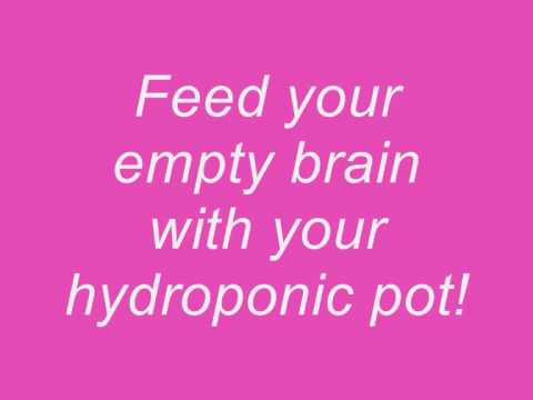 Shakira - Poem To A Horse [Lyrics]