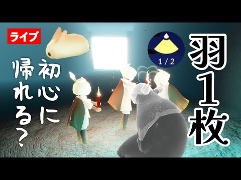 【羽１枚旅】孤島・草原編〜意外と変化多くて初々しくなっちゃう〜【Sky星を紡ぐ子どもたち】