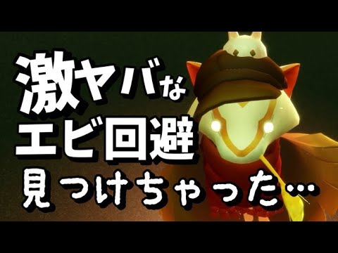 別のエビ回避撮影中に「今までやっていたことは一体...」となるエビ回避を見つけてしまう【sky星を紡ぐ子どもたち】