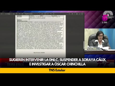 Sugieren intervenir la DNLC, suspender a Soraya Cálix e investigar a Óscar Chinchilla