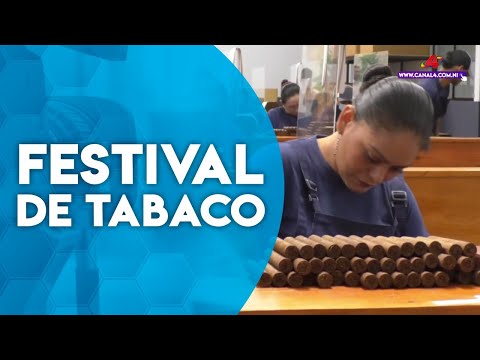 Inició el Festival del Tabaco «Puro Sabor 2023» en Estelí