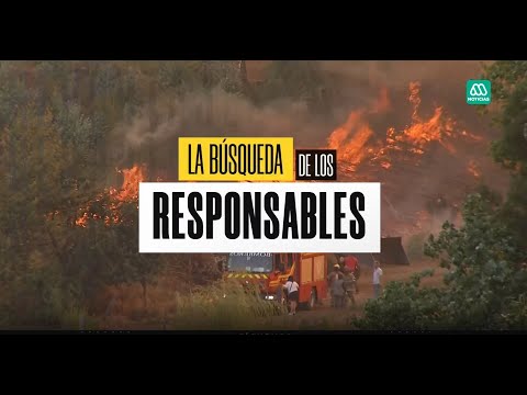 Reportaje | ¿Quiénes son los detenidos en los incendios forestales de Chile?