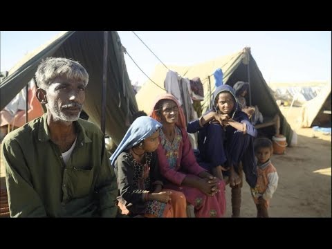 Pakistan : le désespoir des millions de déplacés qui attendent la décrue • FRANCE 24