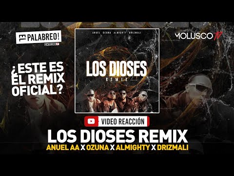 Se Piratea “Los Dioses Remix” con Almighty, Drizmali, Ozuna y Anuel #ElPalabreo