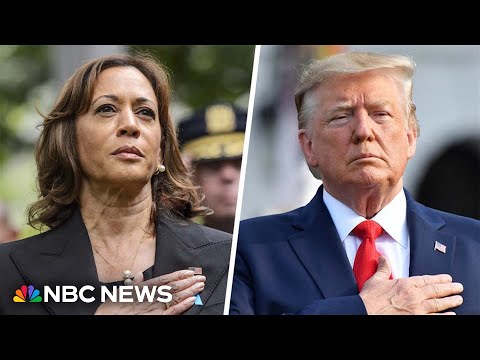 Harris, Trump face off in crucial presidential debate