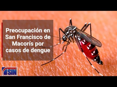Incremento de casos de dengue causa preocupación en SFM