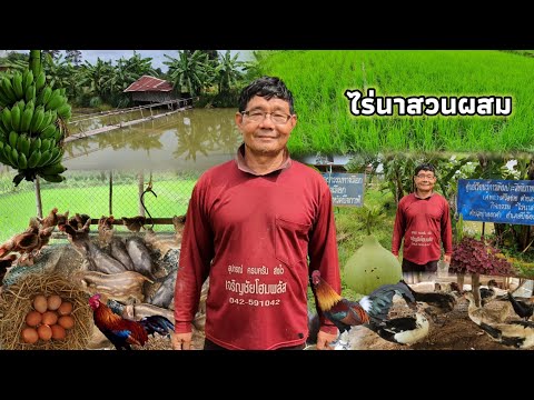 สุดยอดเกษตรกรตัวอย่าง-ทำไร่นาส สุดยอดเกษตรกรตัวอย่าง-ทำไร่นาส