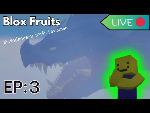 BloxFruitsLIVEEP:3ล่าเจ้า