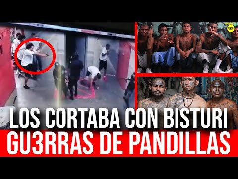 GU3RRAS DE PANDILLAS EN LA PRISION: LOS CORTABA CON UN BISTURI (BIOGRAFIA DE METRA PT8)