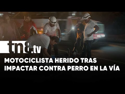 Motociclista colisiona con canino en la carretera a Managua en Juigalpa