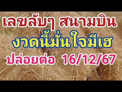 เลขลับๆสนามบินปล่อยต่องวดนี้