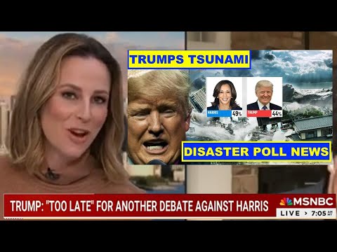 MSNBC Hosts Celebrate Kamala Harris’ TSUNAMI Poll Surge – Trump’s Campaign Crumbling Fast!