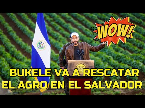 BUKELE LANZA PROGRAMA PARA RESCATAR  LA AGRICULTURA EN EL SALVADOR.  PROGRAMA RECETO.