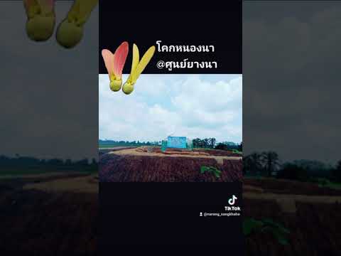 โคกหนองนา💚มีค่าดั่งทองคำ โคกหนองนา💚มีค่าดั่งทองคำ