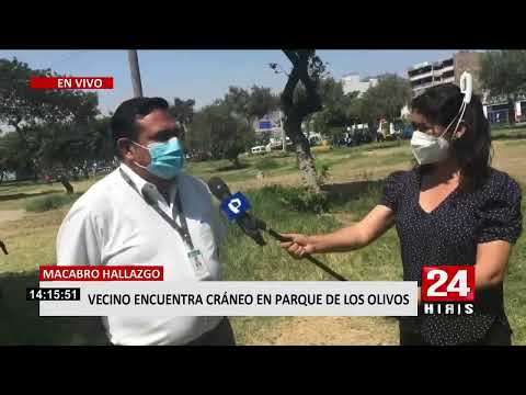 ¡Macabro hallazgo!: Encuentran cráneo en parque de Los Olivos