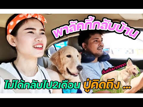 พาหมาเที่ยว!!พาไปเล่นกับคุณปู่ พาหมาเที่ยว!!พาไปเล่นกับคุณปู่