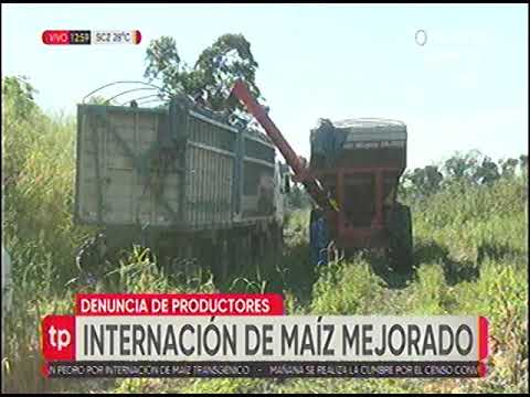14072022   JAIME HERNANDEZ   DENUNCIA DE PRODUCTORES POR LA INTERNACION DE MAIZ MEJORADO   UNITEL