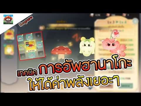 TreeofSavior:Neverlandlเท