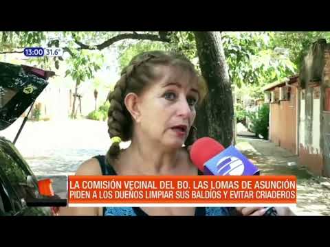 Vecinos de barrio de Asunción piden limpiar baldíos ante aumento de chikungunya