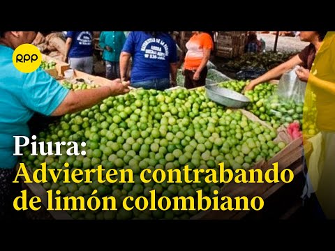 PIURA: Agricultores de Sullana advierten contrabando de limón colombiano