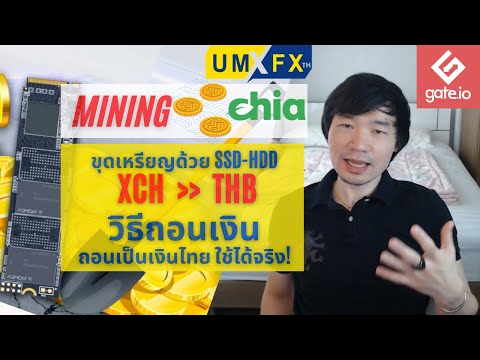 ขุดเหรียญ-Chia-วิธีถอนเงิน-เป็ ขุดเหรียญ-Chia-วิธีถอนเงิน-เป็