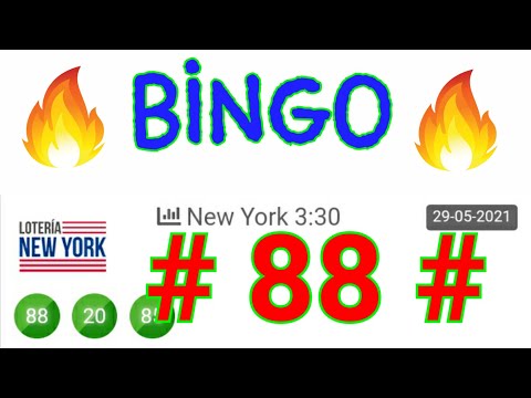 BINGO HOY...! (( 88 )) loteria NEW YORK para HOY/ RESULTADOS de las LOTERÍAS HOY/ PREMIOS REVELADOS