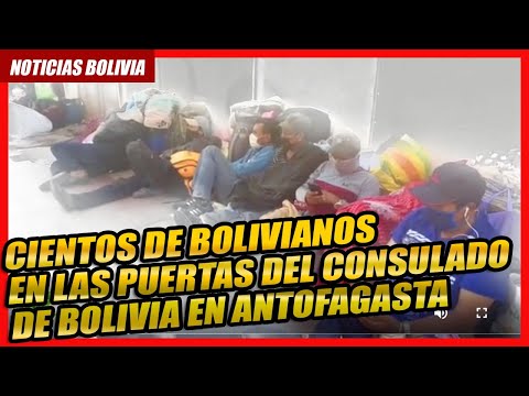 ? CIENTOS DE BOLIVIANOS EN EL CONSULADO DE BOLIVIA EN ANTOFAGASTA DESEAN REGRESAR A BOLIVIA ?