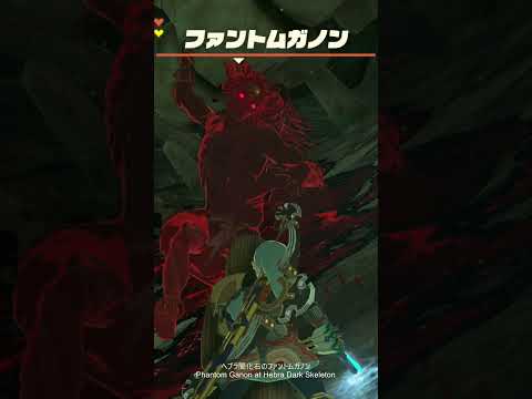 【ゼルダの伝説】ヘブラ闇化石のファントムガノン　ゼルダの伝説ティアーズオブザキングダムNintendo Switch 2 Edition #shorts