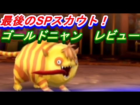 【星ドラ】最後のスペシャルスカウトモンスターレビュー　キンちゃんことゴールドニャン！　【ドラクエの日2025】